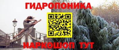 молекула духа Будённовск