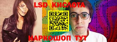 молекула духа Будённовск