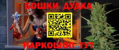 молекула духа Будённовск